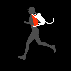 Macaco Run